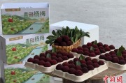 八字批算高速赋能产业升级：一条“杨梅路”的致富密码